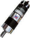 12 Volt DC Planetary Gearmotor